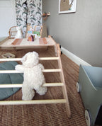 Montessori Climbing Set / Table / Drawing Board NABU